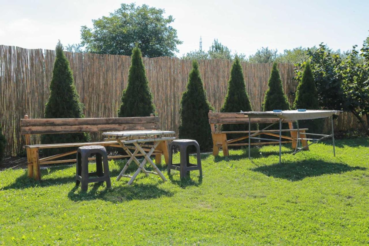 Vila Viktori Pirot Extérieur photo