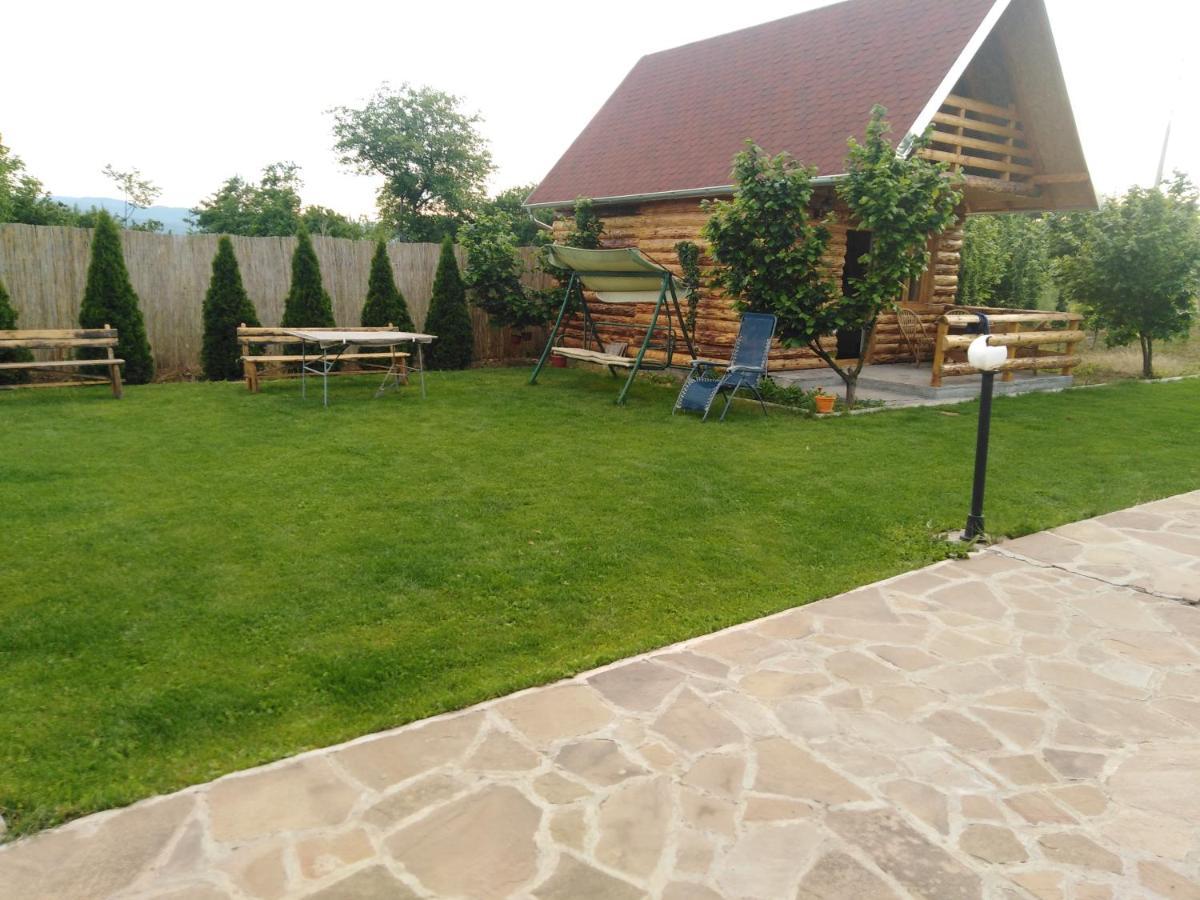 Vila Viktori Pirot Extérieur photo