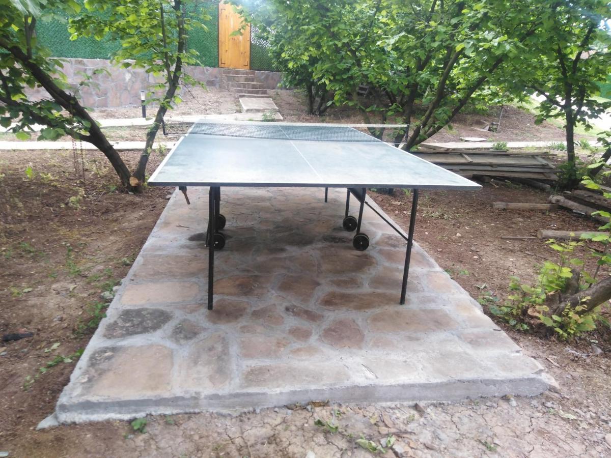 Vila Viktori Pirot Extérieur photo