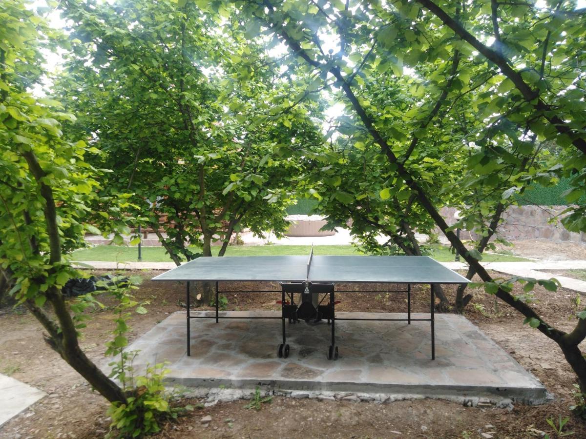 Vila Viktori Pirot Extérieur photo
